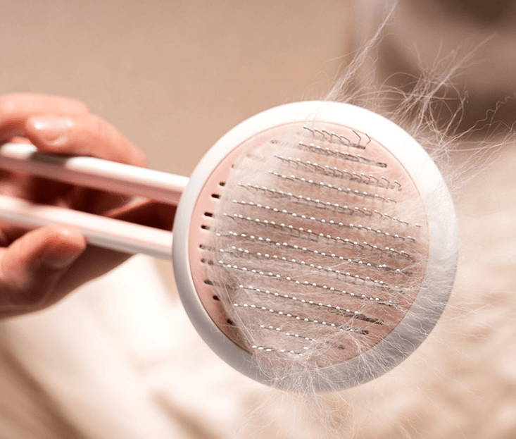 Pet Fur Buster: Automatic Hair Remover & Massage Brush For Cats And